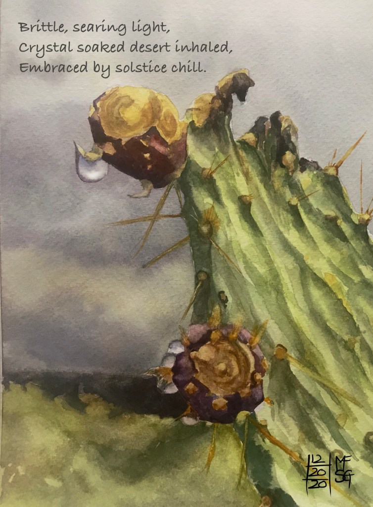 Prickly pair cactus close up with raindrops hanging from fruit. Storm clouds in the background