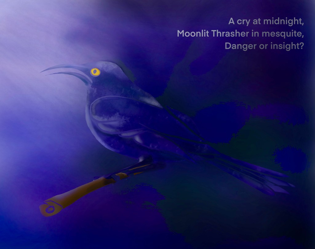 Digital drawing of a thrasher in the moonlight with haiku